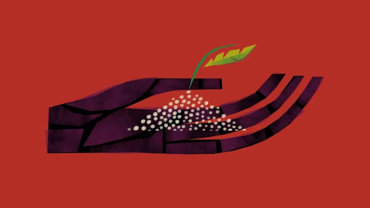 A Story about Soils: The Story of Hearing the Word and Bearing Fruit (Mark 4)